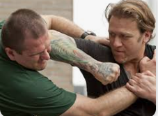 James Sherman Krav Maga $80 session in person & remote (up to 2 clients at once)